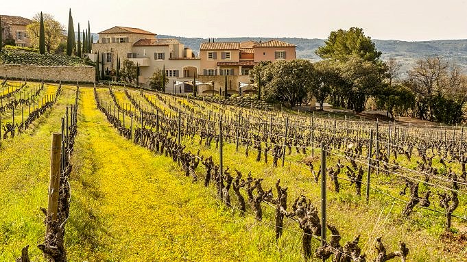 Das älteste Weingut Frankreichs Steht Zum Verkauf?!